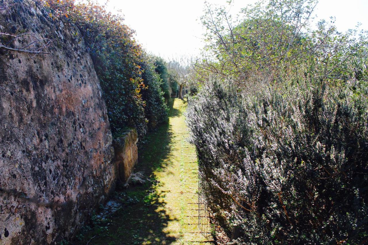 Trepuzzi Masseria Provenzaniヴィラ エクステリア 写真