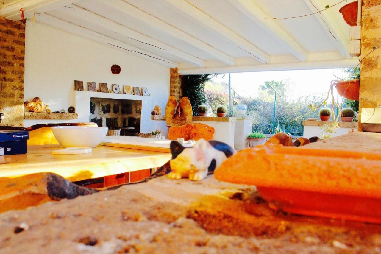 Trepuzzi Masseria Provenzaniヴィラ エクステリア 写真